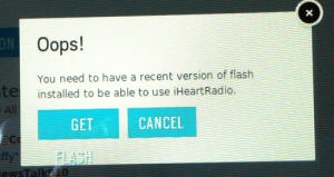 Flash Player Warning