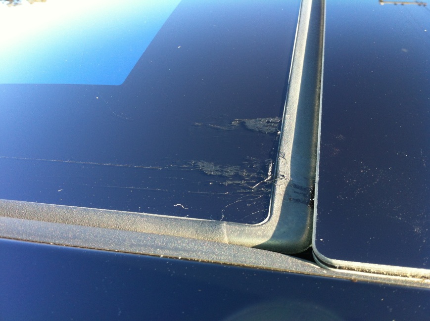 Grease From Panoramic Roof Mechanism